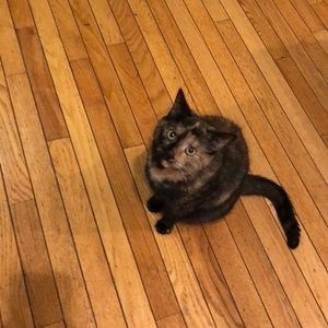 Meet your Posher, Roni